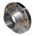 Forged Flanges