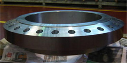 Stainless Steel 316L Flanges