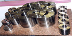 Stainless Steel 317L Flanges