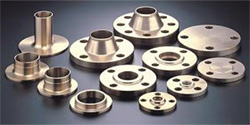 Stainless Steel 446 Flanges