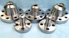 Weldo / Nipo Flanges